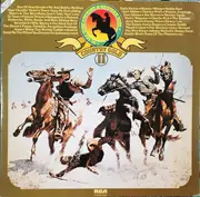 Double LP - Dolly Parton, Kenny Prince, Ronnie Milsap a.o. - Country Gold II (30 All Time Country & Western Hits)