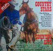 Double LP - Country Sampler - Country Stars Country Hits