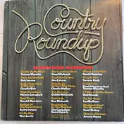 Tammy Wynette - Country Roundup: 20 Great Stars - 20 Great Hits