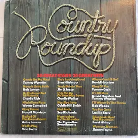 Tammy Wynette - Country Roundup: 20 Great Stars - 20 Great Hits