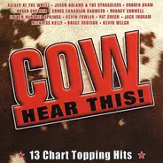 Asleep at the wheel / Pat Green / Jack Ingram a.o. - Cow Hear This!