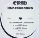 12'' - Hip Hop Sampler - Crib Underground