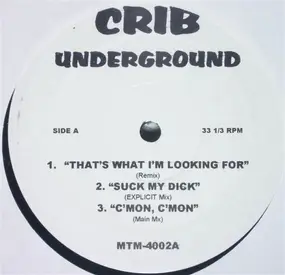 Missy Elliott - Crib Underground