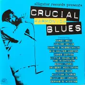 Charlie Musselwhite - Crucial Harmonica Blues