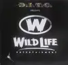 12'' - D.I.T.C. - D.I.T.C Presents Wild Life