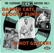 Johnny Watson, Larry Waters, Tony Allen,... - Dapper Cats, Groovy Tunes & Hot Guitars
