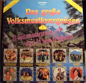 Various Artists - Das Große Volksmusikvergnügen, Folge 1