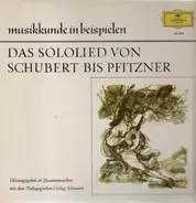 Schubert / Brahms / Wolf / Mahler a.o. - Das Sololied von Schubert bis Pfitzner