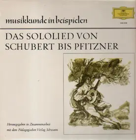 Franz Schubert - Das Sololied von Schubert bis Pfitzner
