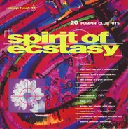 Seal / Right Said Fred / Oceanic a.o. - Deep Heat 11 - Spirit Of Ecstasy