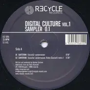 Dani Casarano, Felipe Valenzuela a.o. - Digital Culture Vol.1 - Sampler 0.1