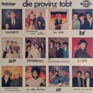 Fremdkörper, Rif, a.o. - Die Provinz tobt - Rhein-Neckar Regionalsampler