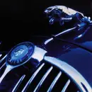 CD - Syncromesh, Fruit Loop, Tiny Stars - Dig The Nu Breed