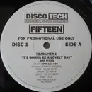 12inch Vinyl Single - Celinne Dion & Soul System - DiscoTech Fifteen - Disc 1 ONLY