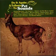 Oldham Brothers, Vic Chestnut, Centro-Matic - Do It Again: A Tribute To Pet Sounds