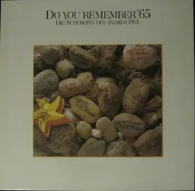 The Byrds - Do You Remember '65