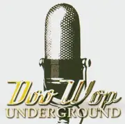 Double CD - Various - Doo Wop Underground