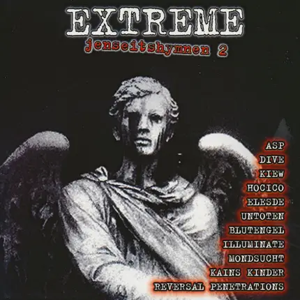 Various - Extreme Jenseitshymnen 2