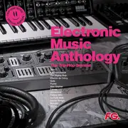 Double LP - Kid Loco, Mr. Scruff, Guts - Electronic Music Anthology - The Trip Hop Session - special ED