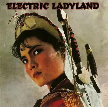 Ian Pooley, Alec Empire, G 104, a.o. - Electric Ladyland (Electric Soul For Rebels)