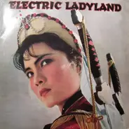 Ian Pooley, Alec Empire, G 104, a.o. - Electric Ladyland (Electric Soul For Rebels)