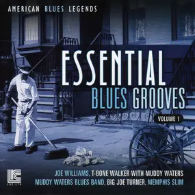 Muddy Waters Blues Band - Essential Blues Grooves, Volume 1