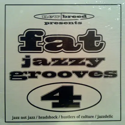 Headshock / Jazzdelic / Jazz Not Jazz / a.o. - Fat Jazzy Grooves Vol. 4