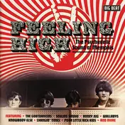 Triple X - Feeling High - The Psychedelic Sound Of Memphis