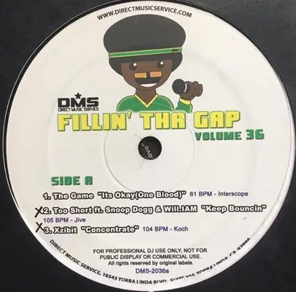 Hip Hop Sampler - Fillin' Tha Gap Volume 36