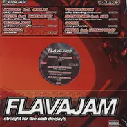 Pitbull / Faith Evans / Fatman Scoop / a.o. - Flavajam Volume 5