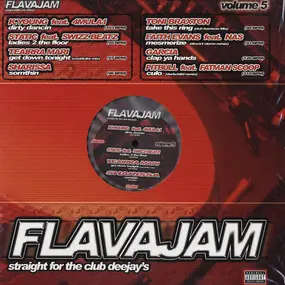 Pitbull - Flavajam Volume 5