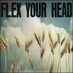 Minor Threat / Youth Brigade / State Of Alert / Iron Cross - Flex Your Head417190