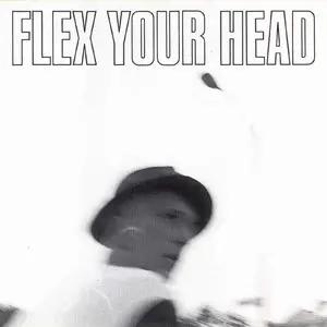 Void / Red C / Deadline / Teen Idles - Flex Your Head