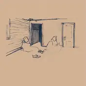 Application Specific