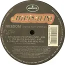 12'' - Various - Freedom (Theme From Panther)