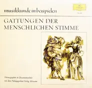 Schubert / Haydn / Mozart a.o. - Gattungen Der Menschlichen Stimme