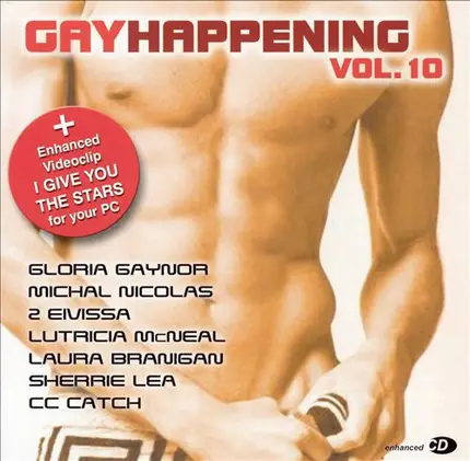 Gloria Gaynor / Love Corporation / Viola Wills a.o - Gay Happening Volume 10