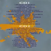Double CD - Suzi Quatro,Mud,T. Rex,Paul Da Vinci,Wizzard, u.a - Glam Kings Of Rock - The True Story Of Glam Rock