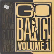 D-Snake / House Of Venus / Turntable Hype a.o. - Go Bang! Volume 1