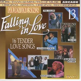 Various Artists - Golden Love Songs Volume 13 - Falling In Love (16 Tender Love Songs)