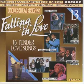 Various Artists - Golden Love Songs Volume 13 - Falling In Love (16 Tender Love Songs)