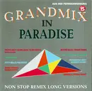CD - FPI Projct / ICE MC - Grandmix In Paradise