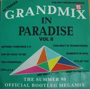 Bonnie, Bee Boyz, Mister Maxx, a.o. - Grandmix In Paradise Vol. II