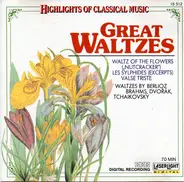Chopin / Berlioz / Delibes / Tchaikovsky / Brahms a.o. - Great Waltzes