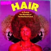 LP - Martin Jay, Jacqueline Baxter, Mike Allen, Micky Trounce, Jill Utting, Valerie Stockwell - Haïr - An Exciting New Recording Of The Tribal Rock Musical