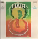 LP - Various - Hair - The Original Broadway Cast Recording