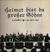 Die Vergifteten Pfeile, Kleenex Aktiv - Heimat Bist Du Grosser Söhne