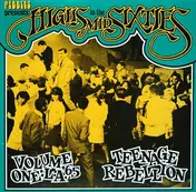 Avengers - Highs In The Mid Sixties Vol. 1: L.A. '65 - 'Teenage Rebellion'