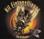 Bobby McFerrin / Norman Greenbaum a.o. - Hit Eintagsfliegen (One Hit Wonders)
