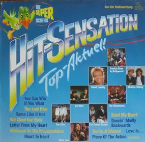 David Cassidy - Hit-Sensation Top-Aktuell
